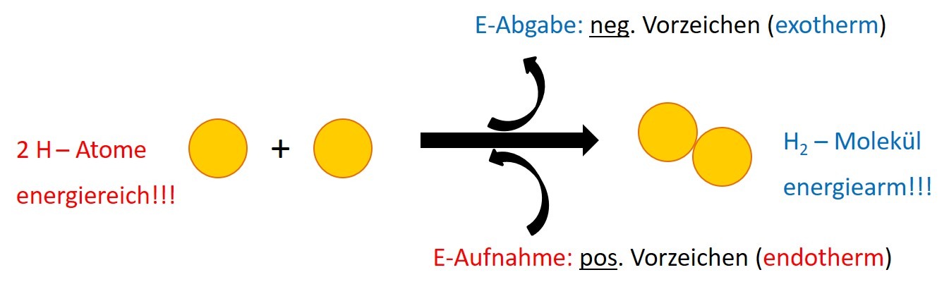 2.3 exo endo Hin-Rückreaktion