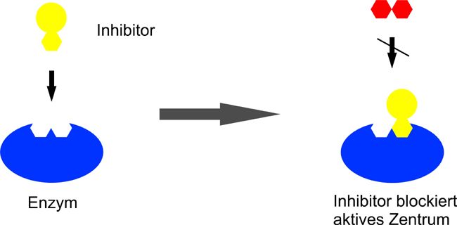 2f80089cd39c9c86cfd18fc83c88f201