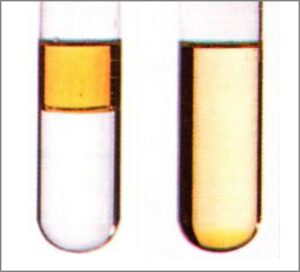 4.4 Löslichkeit Öl Wasser Benzin