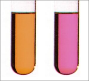 4.4 Löslichkeit von Iod2