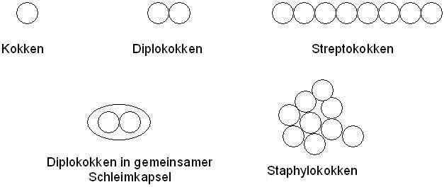 505bd5e82e91e13a800d2bb1857650e5