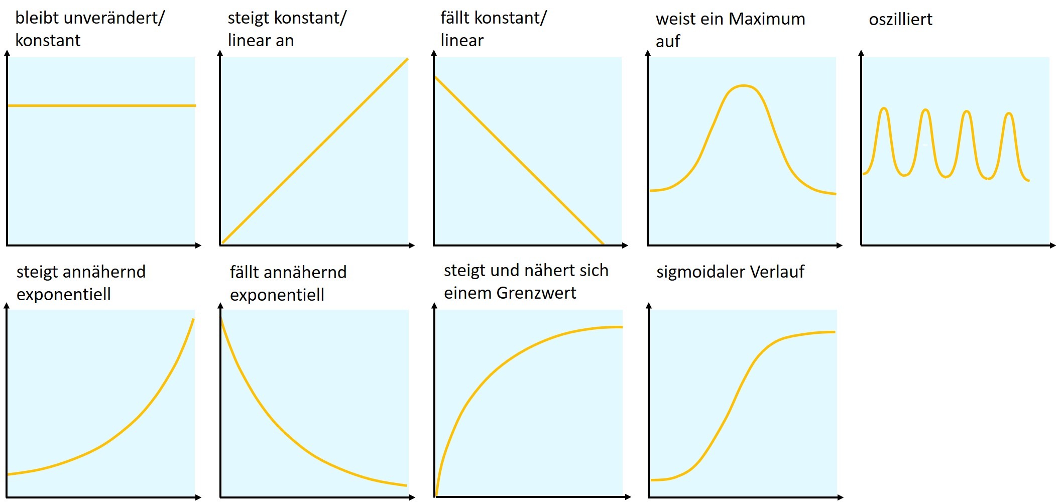 Arten Kurvenverläufe