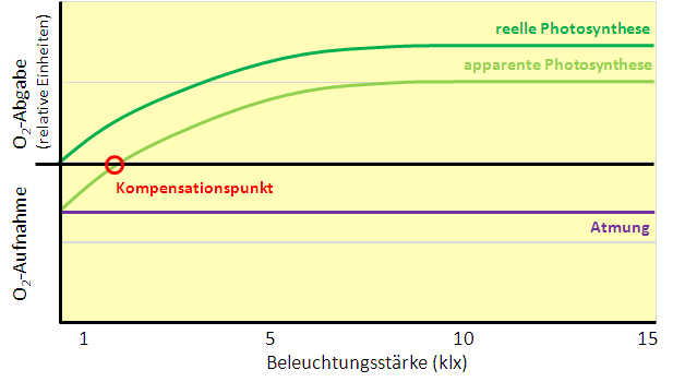 Beleuchtungsstärke