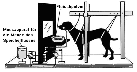 KonditionierungsprozessPawlow1