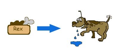 KonditionierungsprozessPawlow2