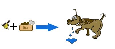 KonditionierungsprozessPawlow3