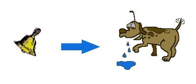 KonditionierungsprozessPawlow4