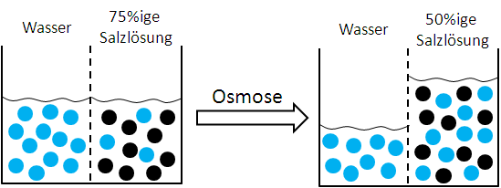 Osmose