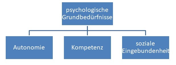 Selbstbestimmungstheorie nach Deci and Ryan