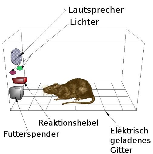 TheoriedesVerstärkungslernens1