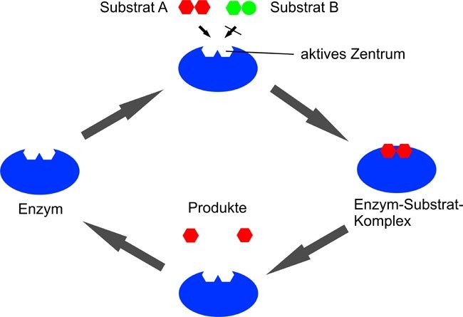 cd0abc16f96b1b8c385566574e5f8bd2